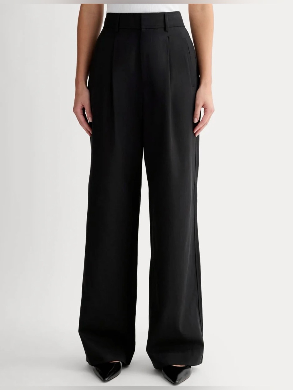 Everlane Draper Pleated Pant in Buttersmooth